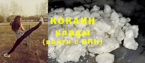 2c-b Горно-Алтайск