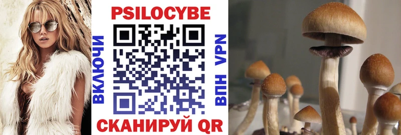 Псилоцибиновые грибы мухоморы  Бердск 